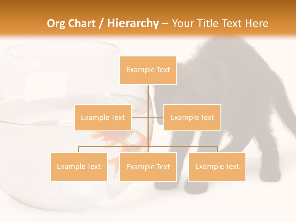 Looking Standing Studio Shot PowerPoint Template
