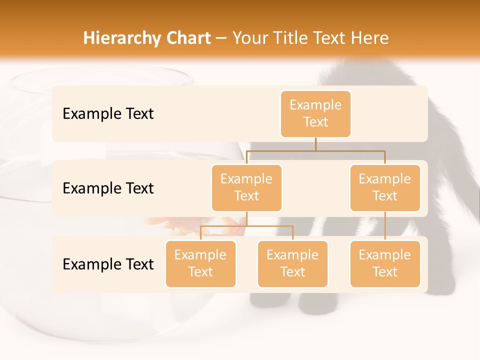 Looking Standing Studio Shot PowerPoint Template