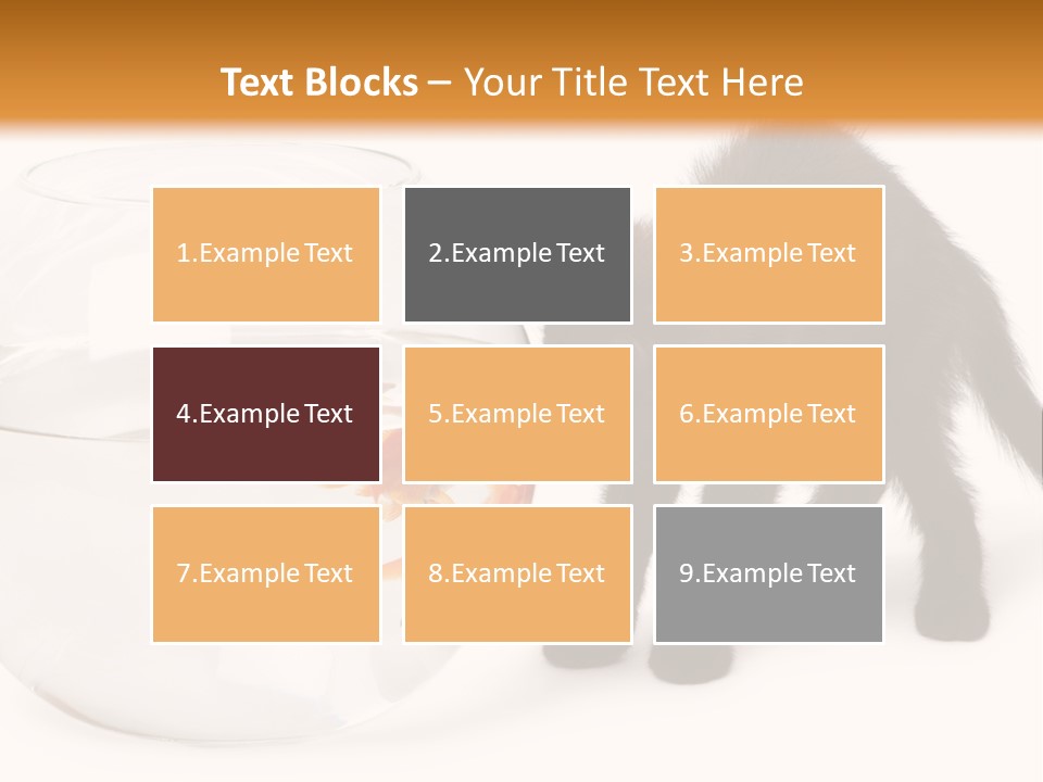Looking Standing Studio Shot PowerPoint Template