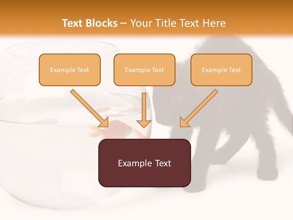 Looking Standing Studio Shot PowerPoint Template