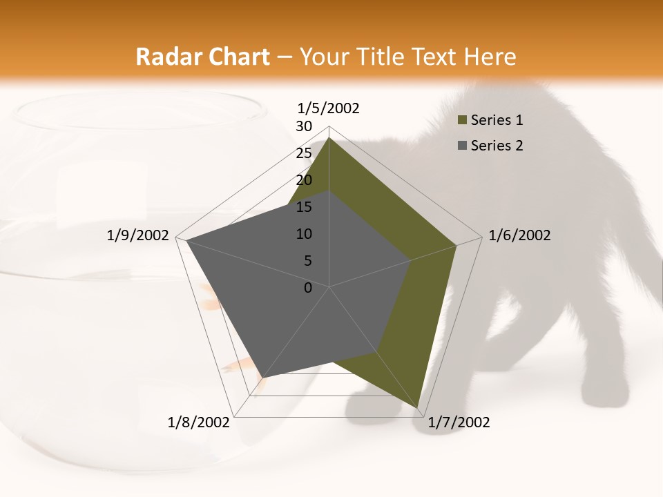 Looking Standing Studio Shot PowerPoint Template