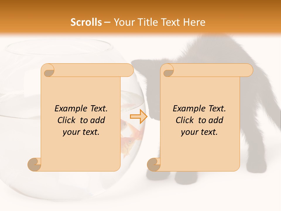 Looking Standing Studio Shot PowerPoint Template