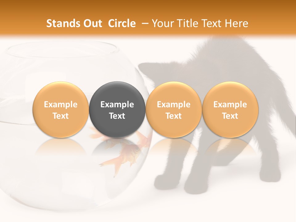 Looking Standing Studio Shot PowerPoint Template