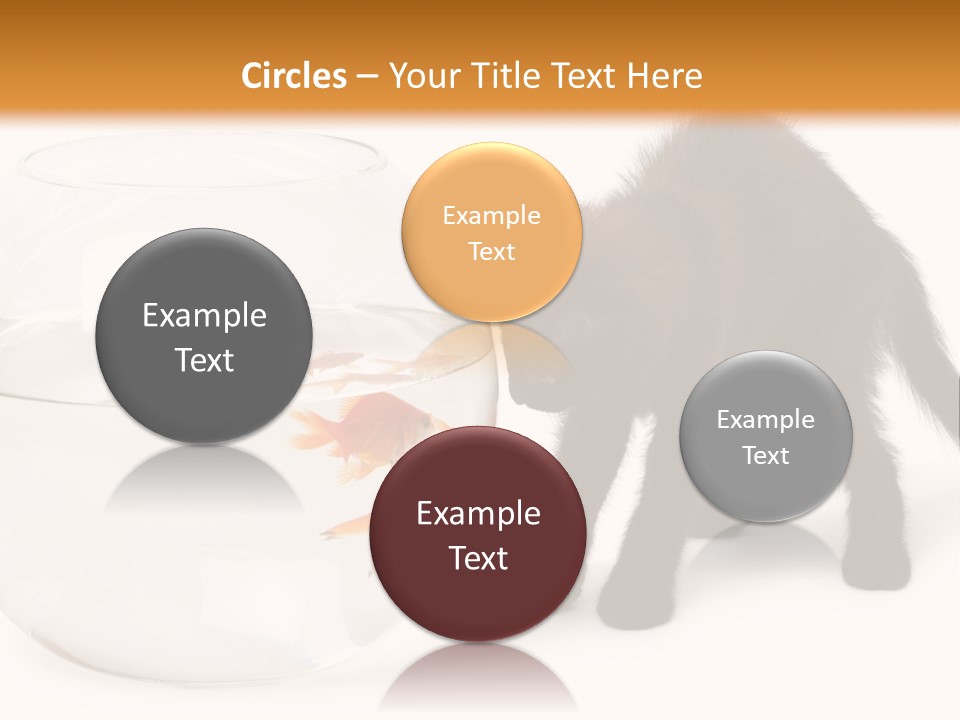 Looking Standing Studio Shot PowerPoint Template