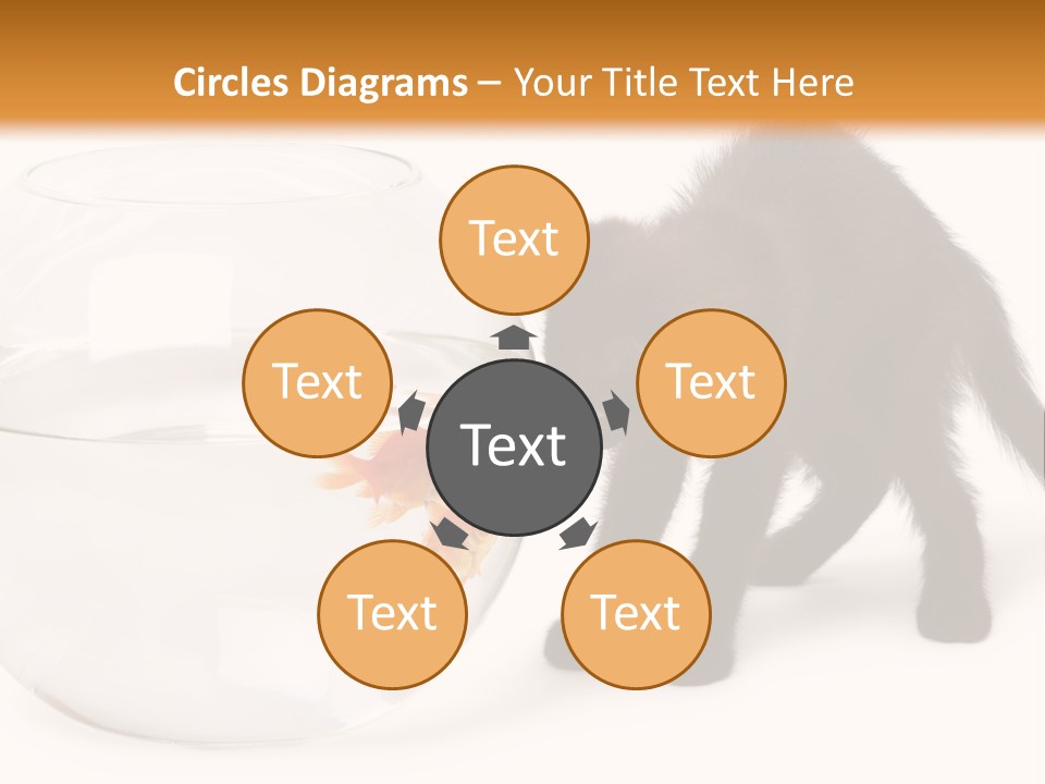 Looking Standing Studio Shot PowerPoint Template