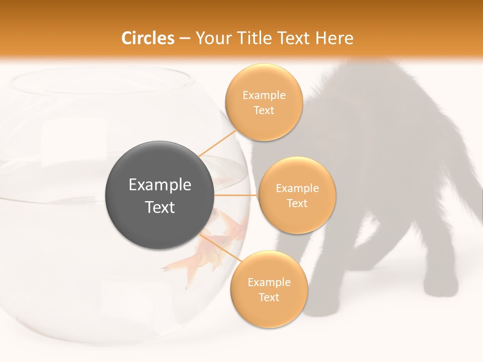 Looking Standing Studio Shot PowerPoint Template