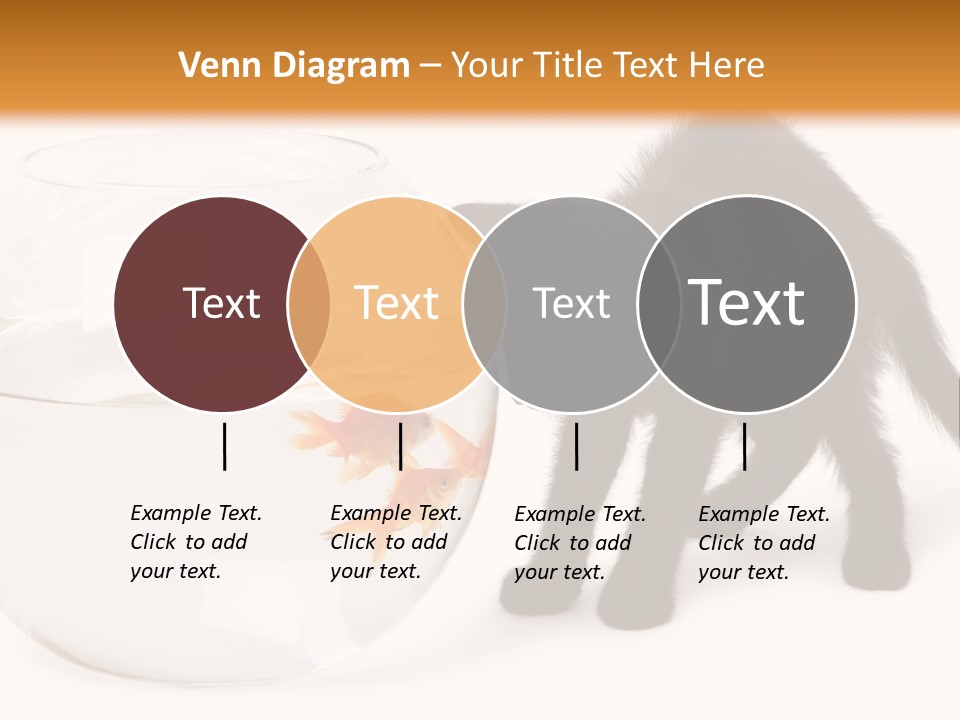 Looking Standing Studio Shot PowerPoint Template