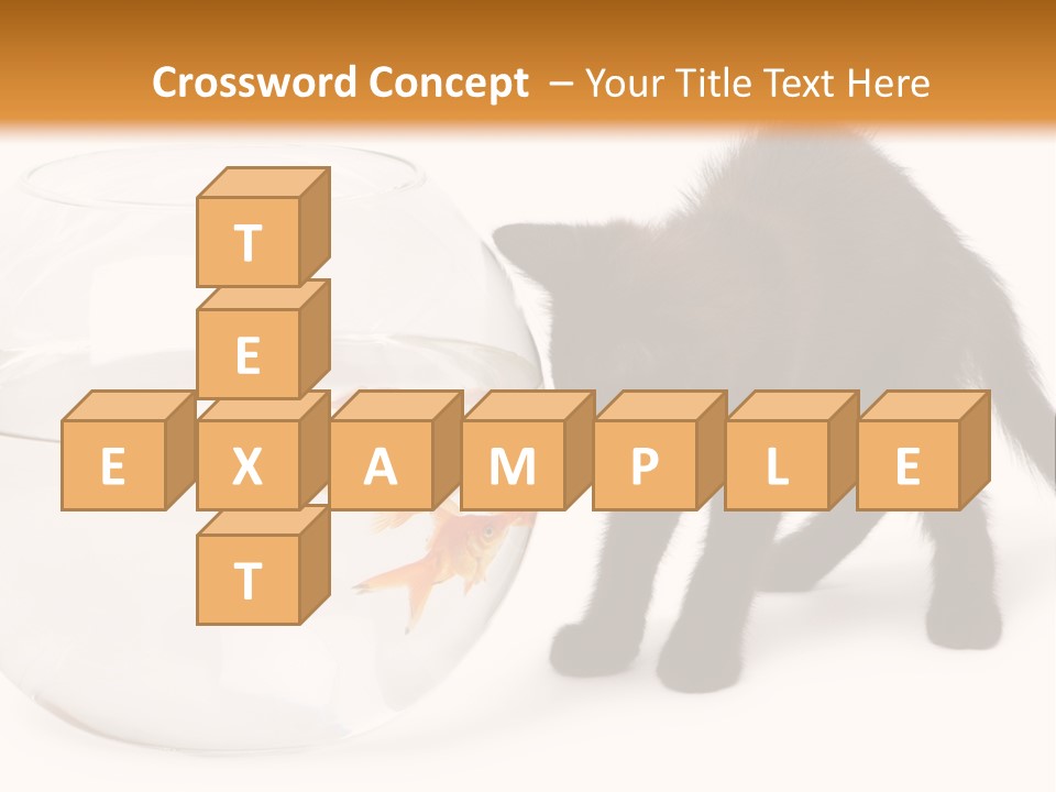 Looking Standing Studio Shot PowerPoint Template