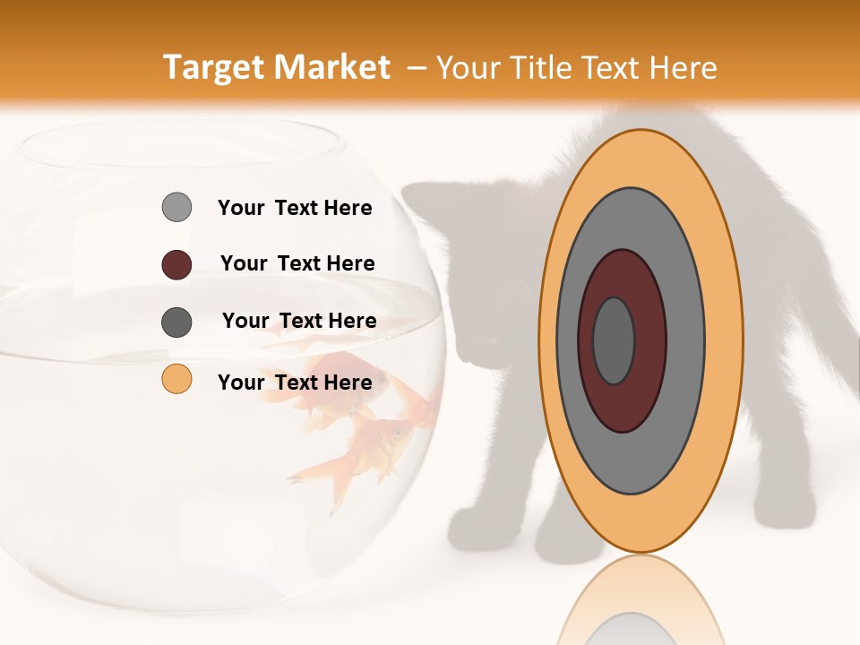 Looking Standing Studio Shot PowerPoint Template