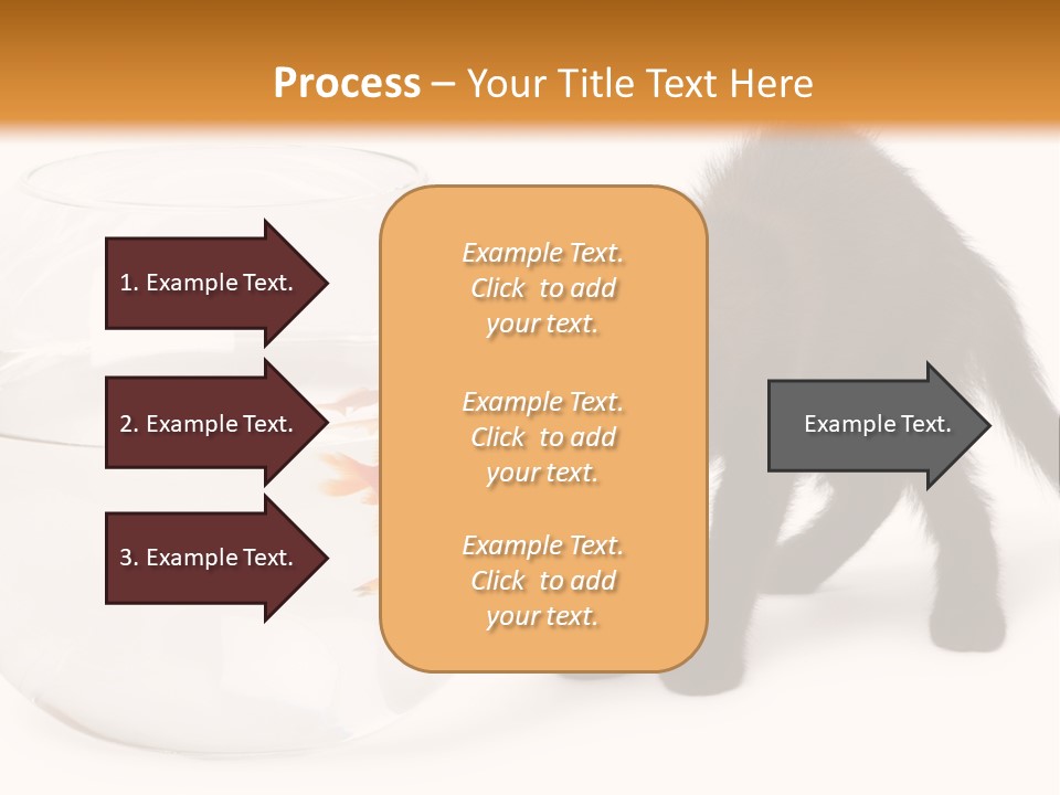 Looking Standing Studio Shot PowerPoint Template