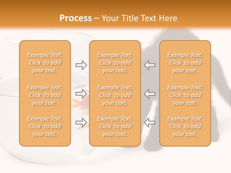 Looking Standing Studio Shot PowerPoint Template