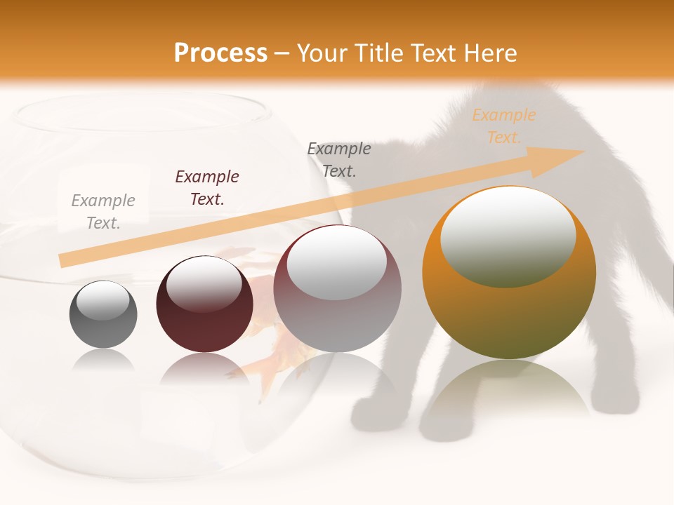 Looking Standing Studio Shot PowerPoint Template