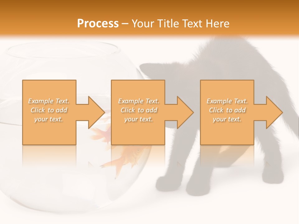 Looking Standing Studio Shot PowerPoint Template