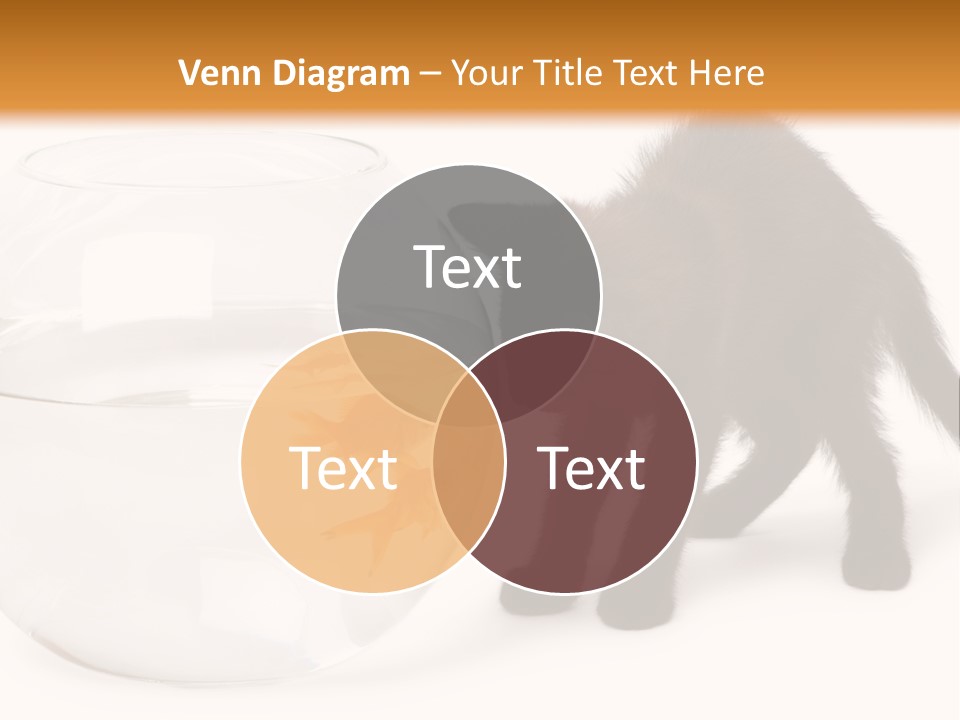 Looking Standing Studio Shot PowerPoint Template