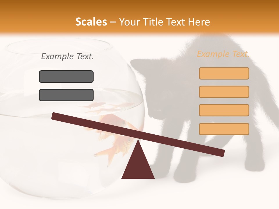 Looking Standing Studio Shot PowerPoint Template