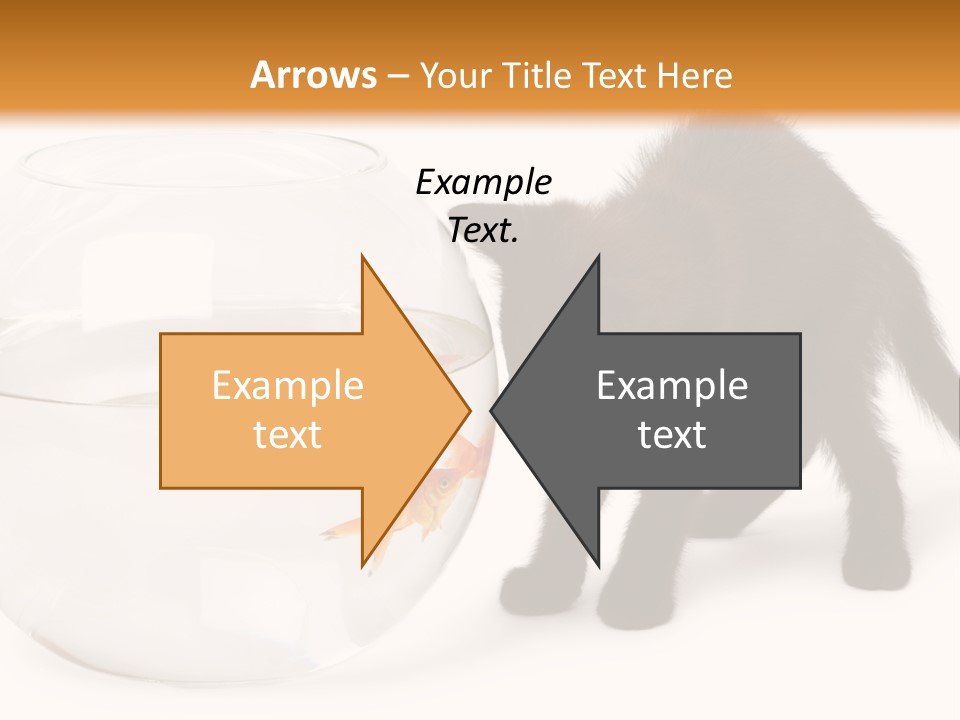 Looking Standing Studio Shot PowerPoint Template
