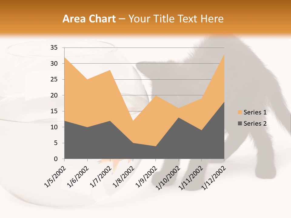 Looking Standing Studio Shot PowerPoint Template