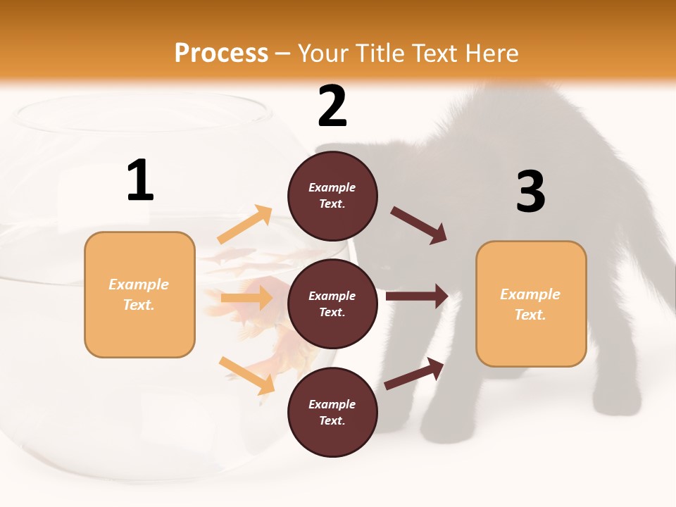 Looking Standing Studio Shot PowerPoint Template