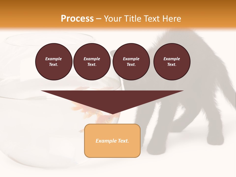 Looking Standing Studio Shot PowerPoint Template