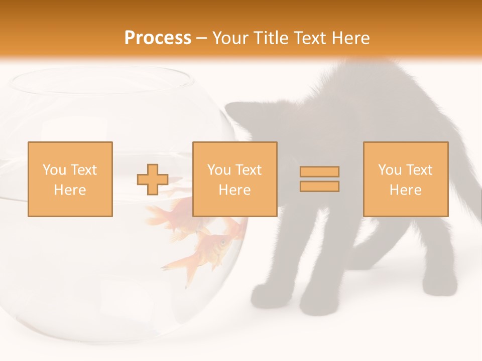 Looking Standing Studio Shot PowerPoint Template