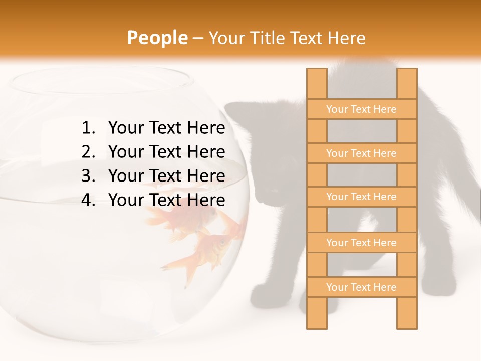 Looking Standing Studio Shot PowerPoint Template