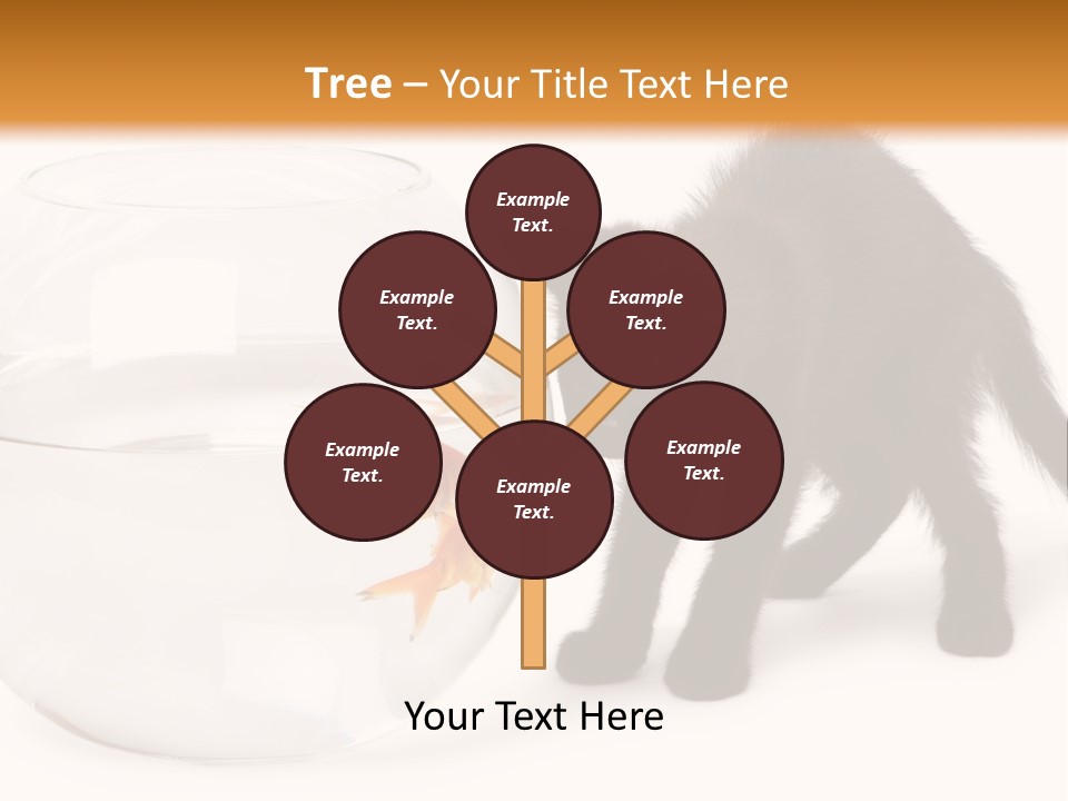 Looking Standing Studio Shot PowerPoint Template