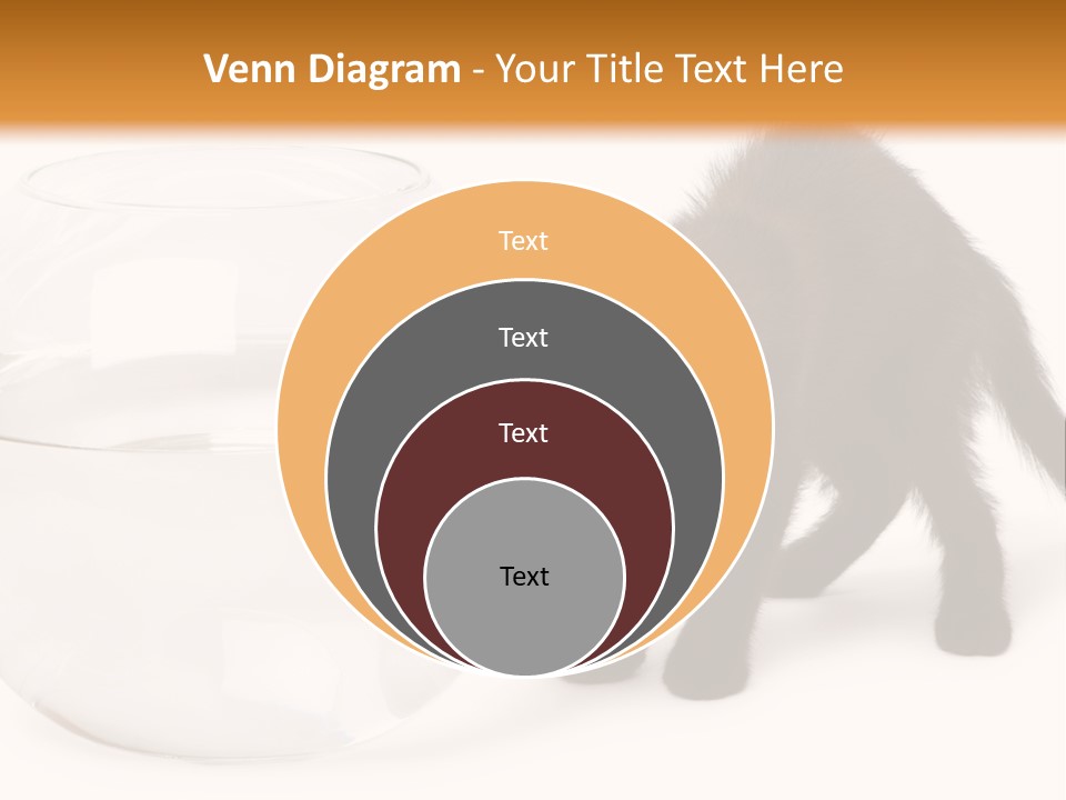Looking Standing Studio Shot PowerPoint Template