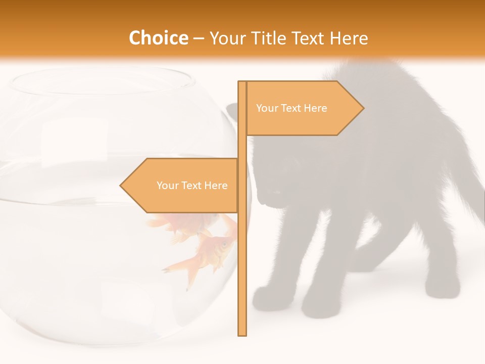 Looking Standing Studio Shot PowerPoint Template