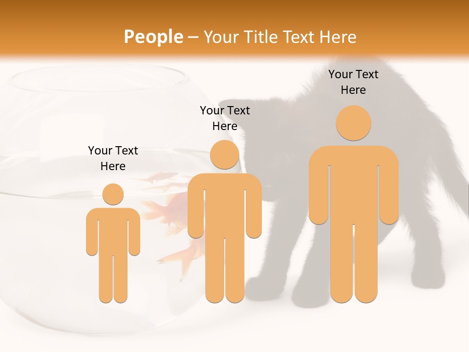 Looking Standing Studio Shot PowerPoint Template