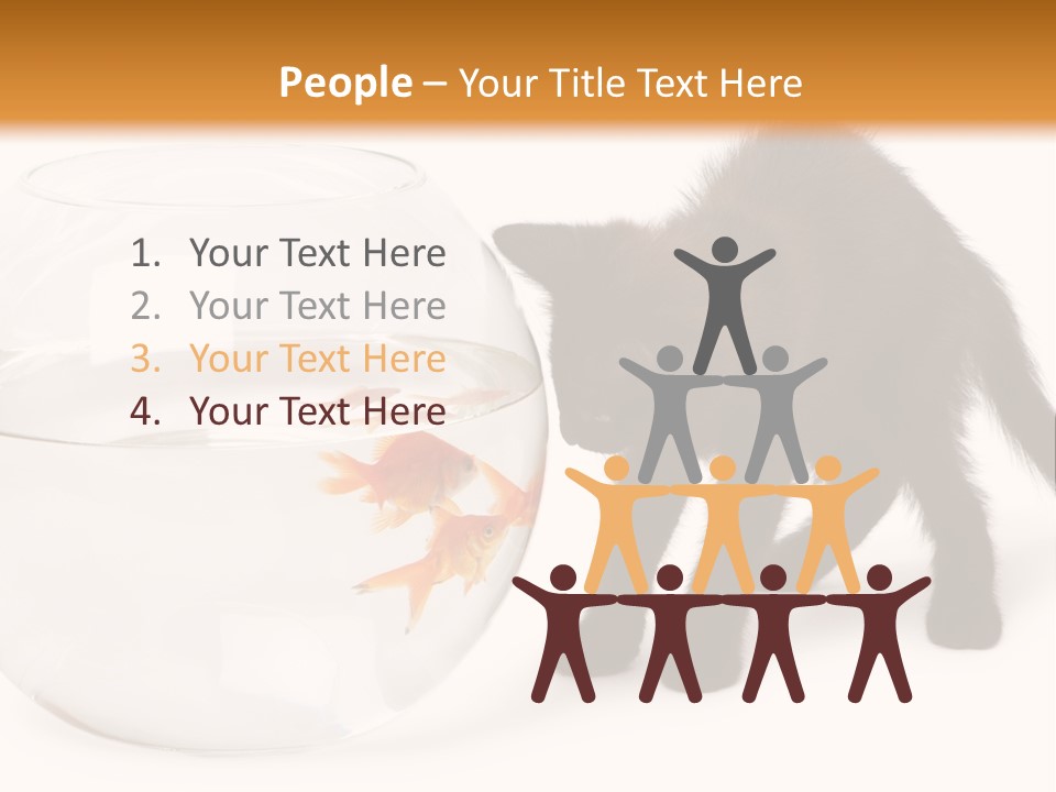 Looking Standing Studio Shot PowerPoint Template