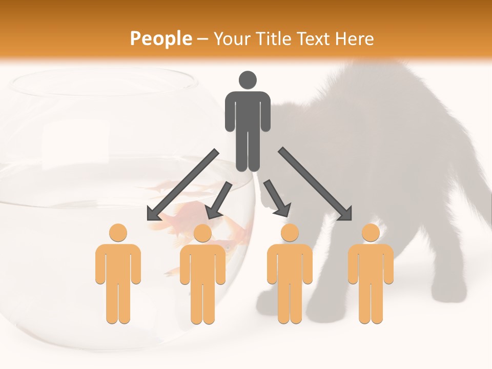 Looking Standing Studio Shot PowerPoint Template