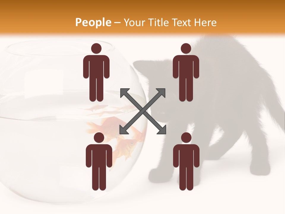 Looking Standing Studio Shot PowerPoint Template