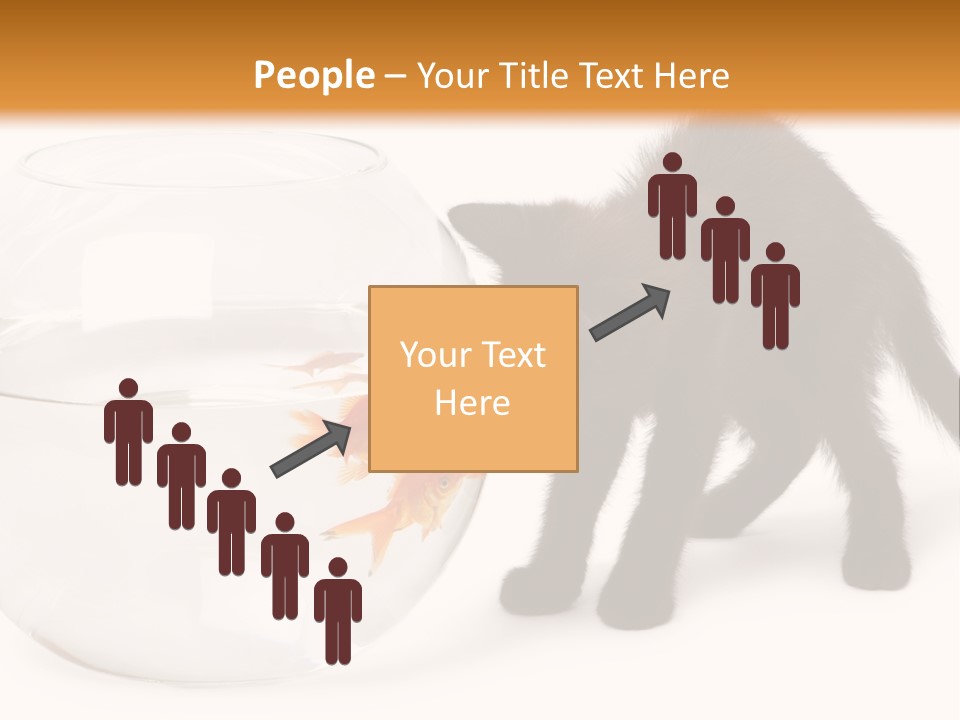 Looking Standing Studio Shot PowerPoint Template