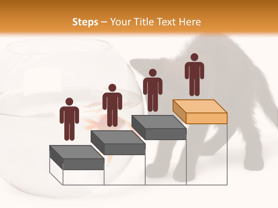 Looking Standing Studio Shot PowerPoint Template