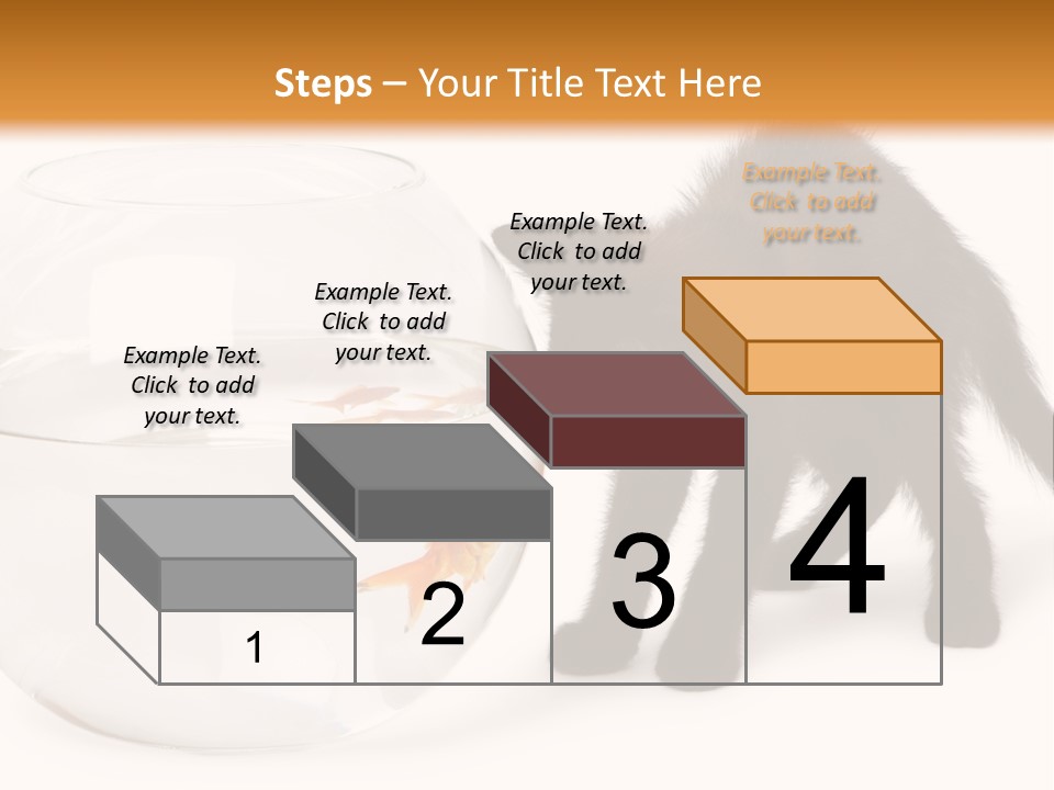Looking Standing Studio Shot PowerPoint Template