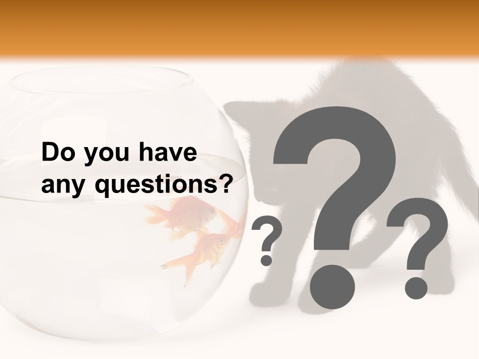 Looking Standing Studio Shot PowerPoint Template