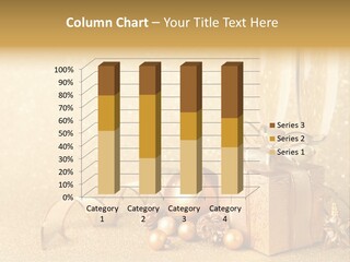 Winter Silvester Present PowerPoint Template