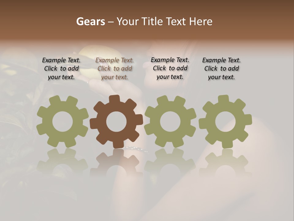 Paradise Romantic Colour PowerPoint Template