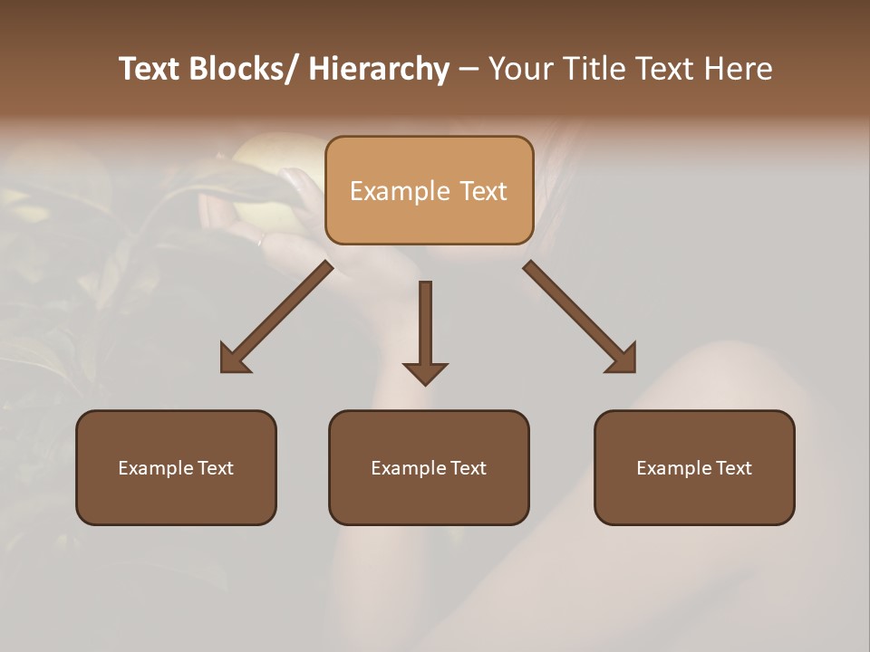 Paradise Romantic Colour PowerPoint Template