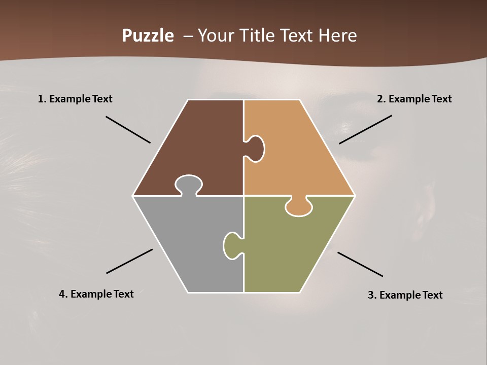 Portrait Graceful Style PowerPoint Template