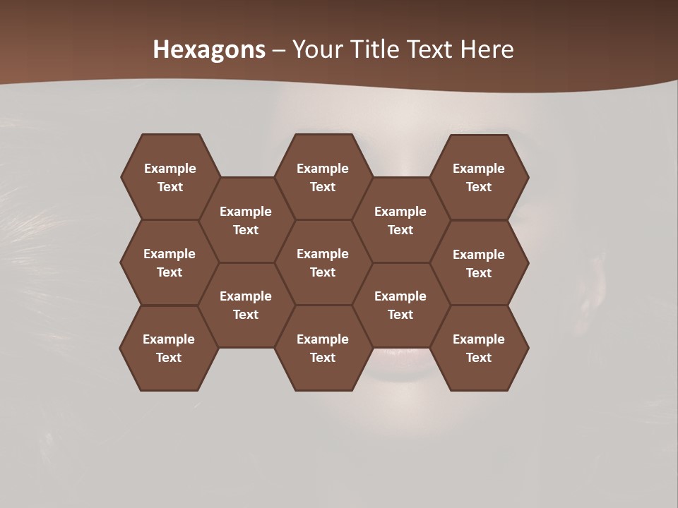 Portrait Graceful Style PowerPoint Template