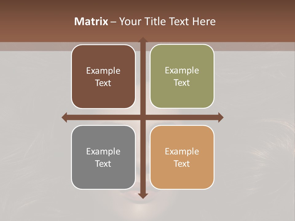 Hairstyle Fashion Style PowerPoint Template