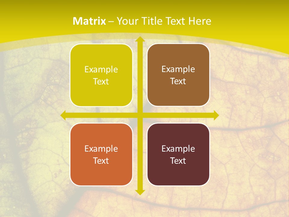 September Dry November PowerPoint Template