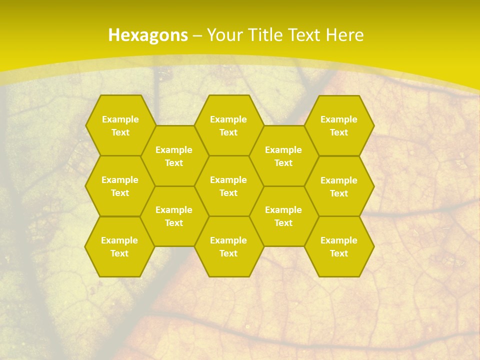 September Dry November PowerPoint Template