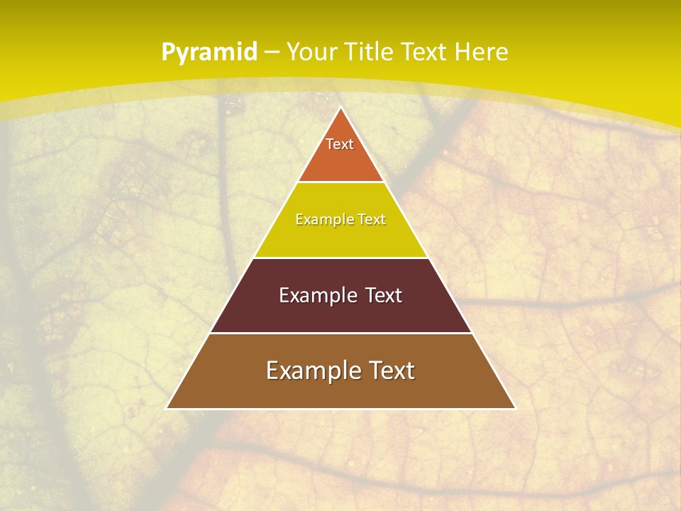 September Dry November PowerPoint Template