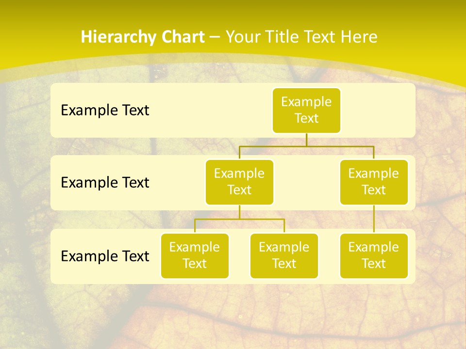 September Dry November PowerPoint Template