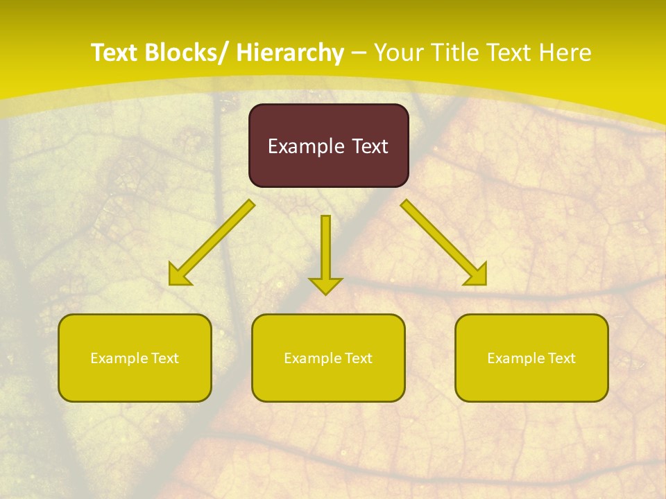 September Dry November PowerPoint Template