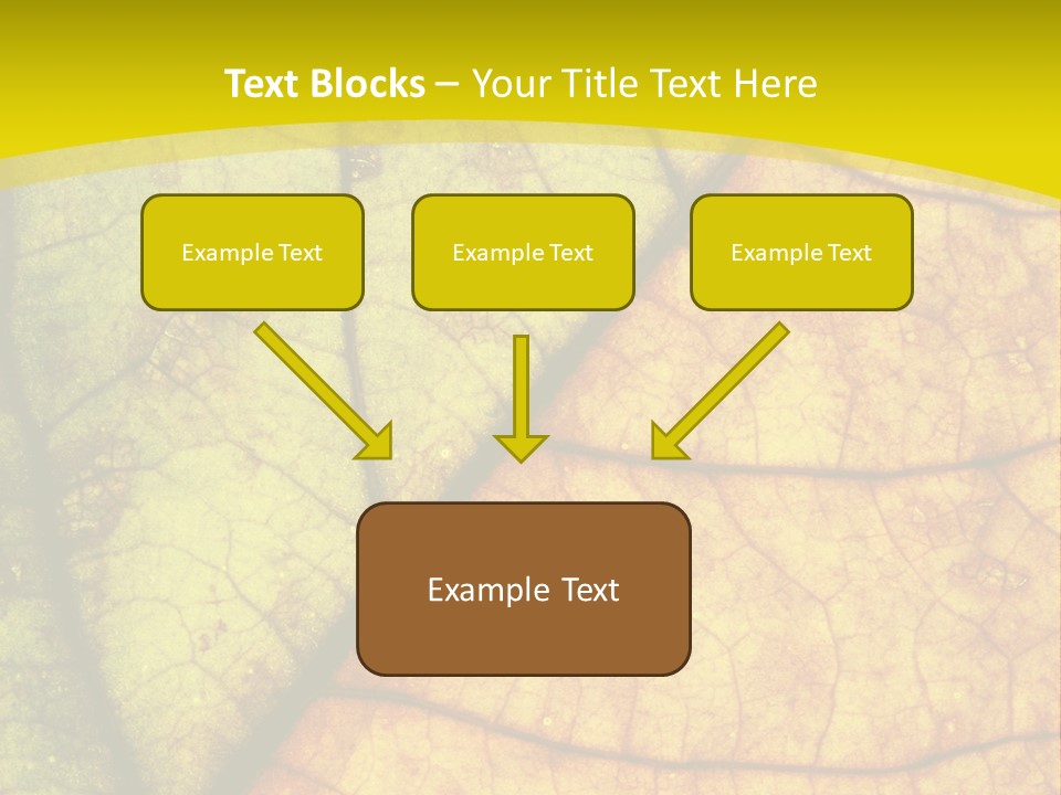 September Dry November PowerPoint Template