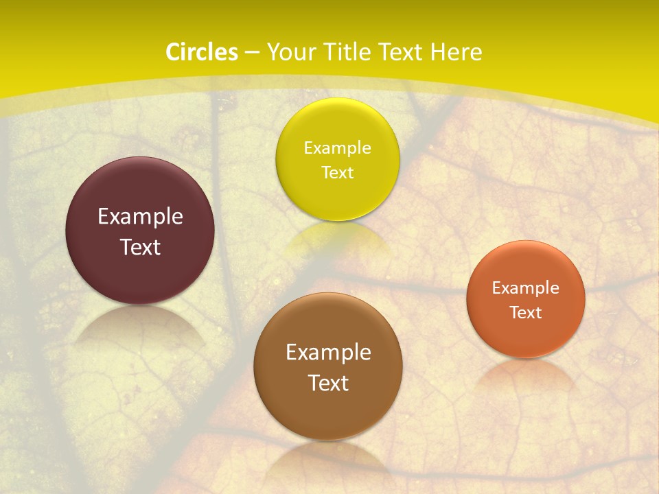 September Dry November PowerPoint Template
