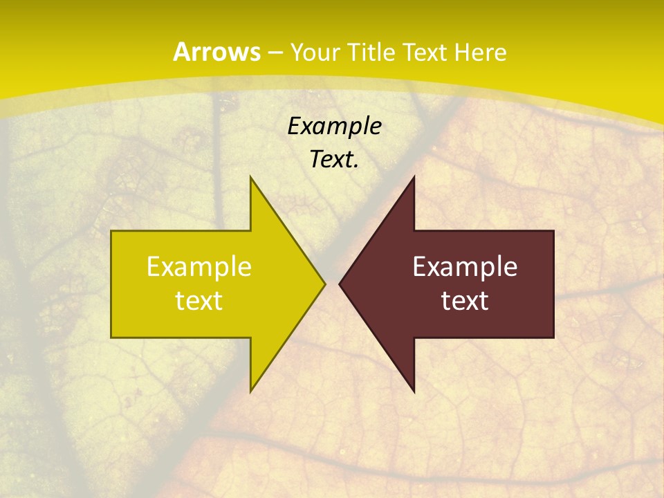 September Dry November PowerPoint Template